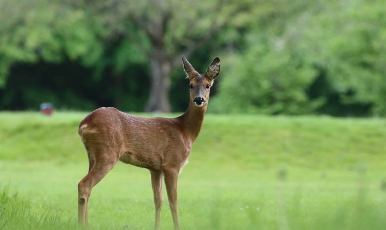 Wildlife Photography Exhibition - Eton College